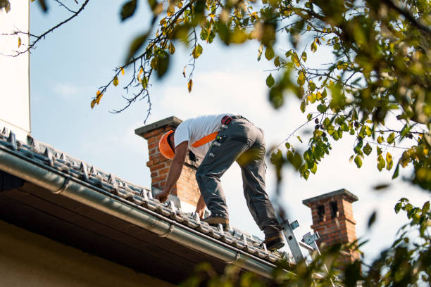Best Emergency Roof Repair  in Oran, MO